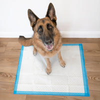 Four Paws Wee-Wee Superior Performance Extra Large Pee Pads for Dogs - 21 Count - image 2