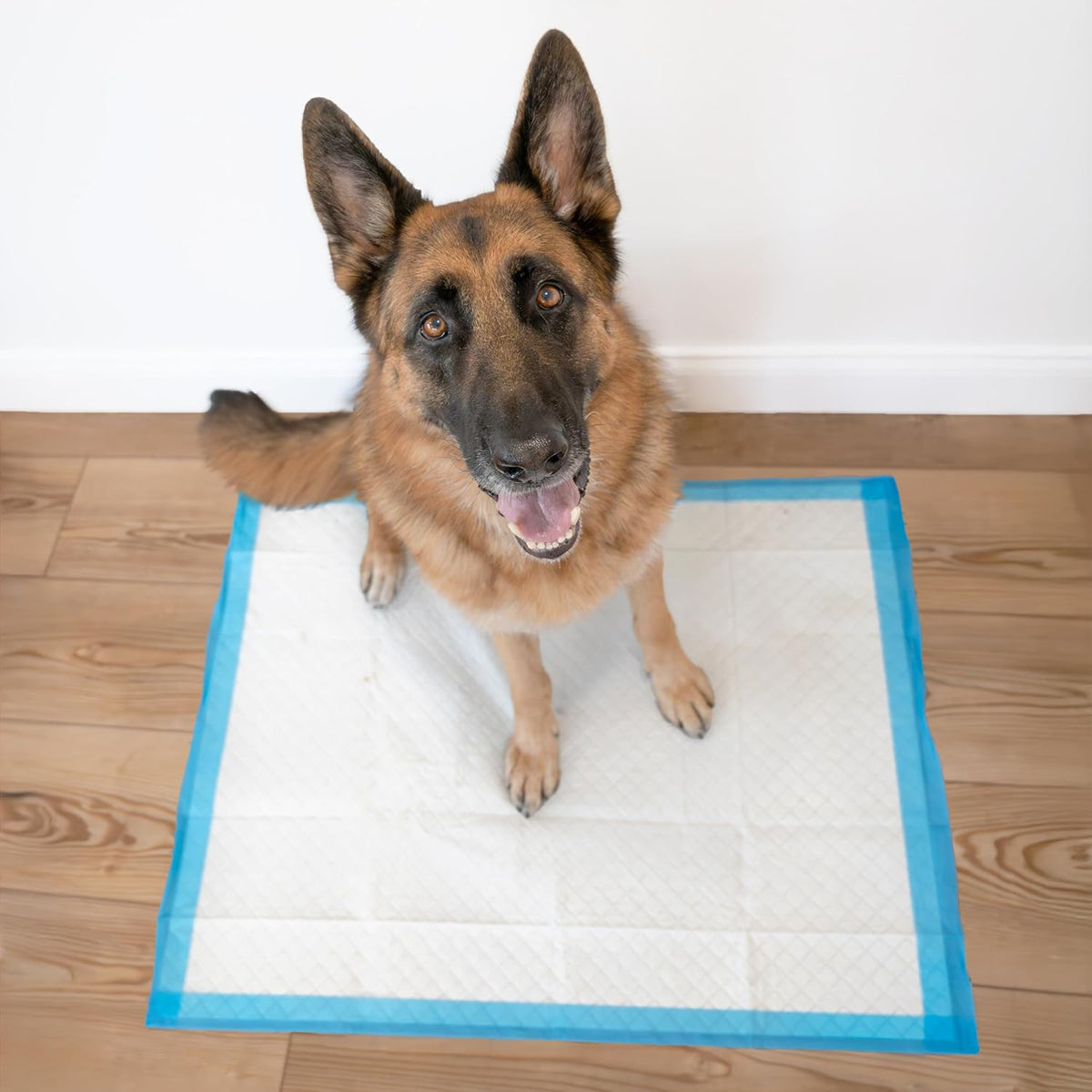 Four Paws Wee-Wee Superior Performance Extra Large Pee Pads for Dogs - 21 Count - image 2