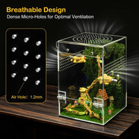 Jumping Spider Enclosure Starter Kit - Green / Large - image 3