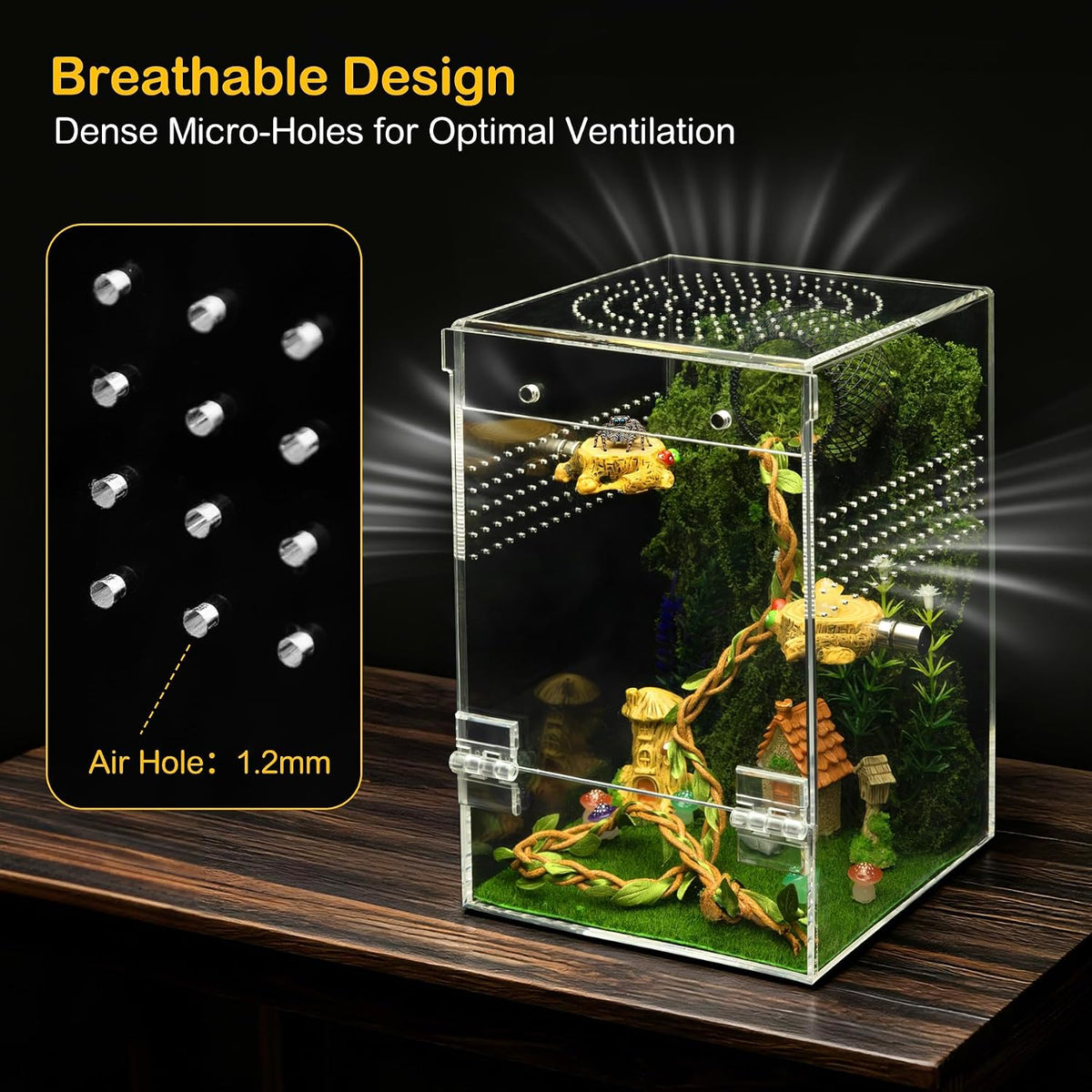 Jumping Spider Enclosure Starter Kit - Green / Large - image 3