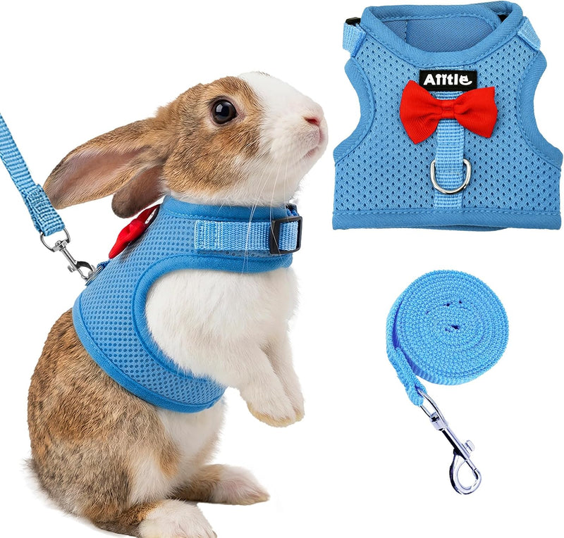 Breathable Bunny Harness and Leash Set with Cute Bow, Black S – Essentials for Small Pets - L / Blue