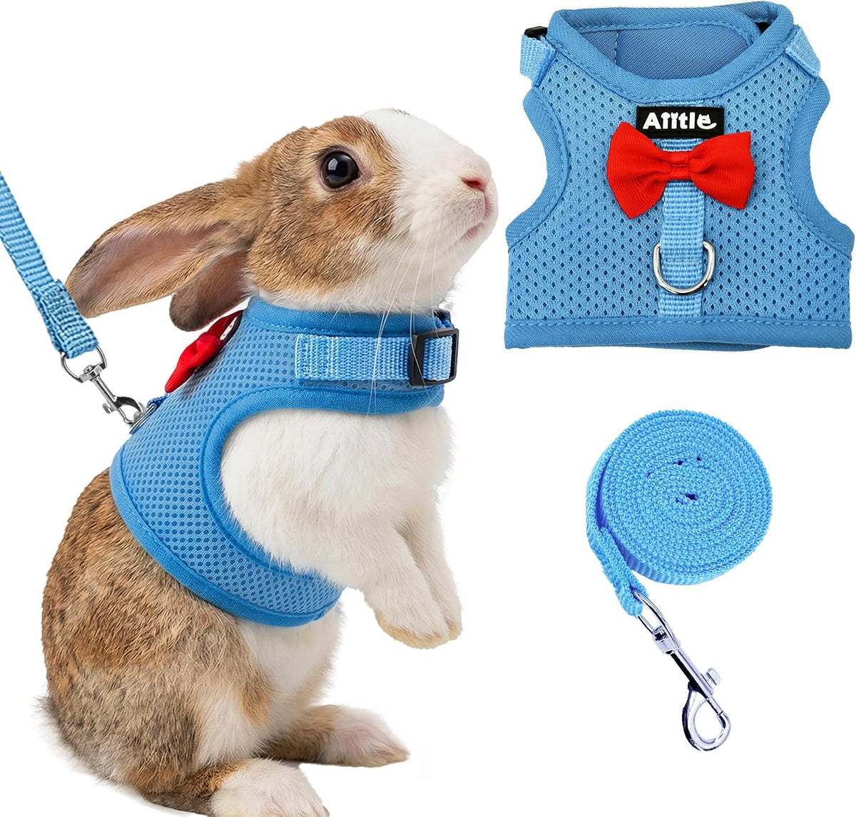 Blue padded mesh rabbit harness and leash set with bow, size M