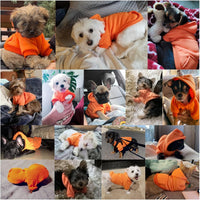 Soft Dog Hoodies for Small Dogs - Orange / Small - image 4