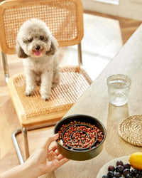 Ceramic Slow Feeder Dog Bowls - Black / 6 Inches - image 2