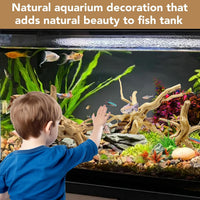 Natural Aquarium Driftwood for Fish Tank Reptile Terrariums Decor – Essentials for Fish - Spiderwood 7 to 11 Inch (Pack of 3) - image 3