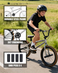 vollsch RUCKUS 20 inch kids freestyle BMX bike with pegs - view 27