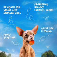 Balls 2 inch for Small and Medium Size Dogs - image 2