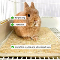 2PCS Rabbit Scratch Mat, Natural Bunny Pad Claws and Teeth Care - Natural 2pcs / 24"x16" - image 3