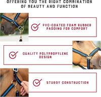 Weaver Equine Breakaway Horse Halter, Comfort Foam Padding, Adjustable Chin & Throat Snap Halters for Horses, Equine Tack,Average Size, Blue