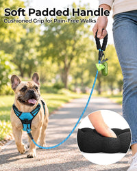 Taglory Rope Dog Leash for Medium Large Dogs - 3/8" x 6 FT (0~20 lbs.) / Blue - image 2
