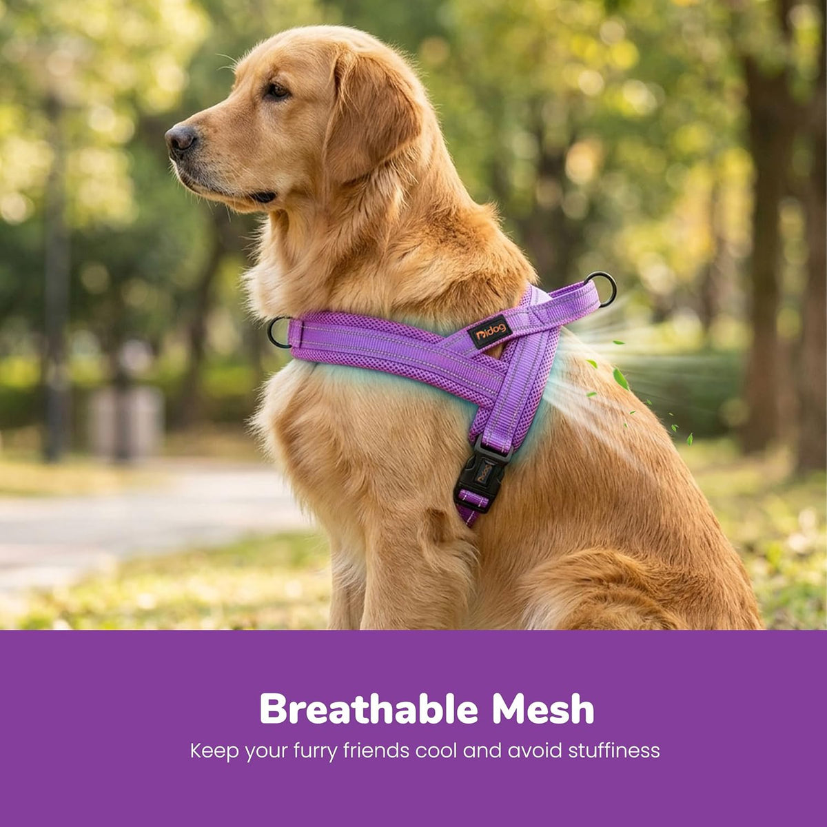 Didog No Pull Dog Harness for Large Dogs, Breathable Mesh Padded - Purple / L: Chest 27-33", Fit 50-80 lbs - image 2