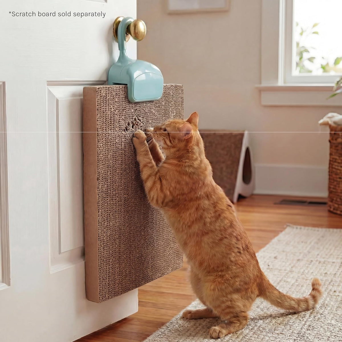 Kitty City XL 3-Pack Cat Scratcher Pads - Blue Hangers / Hangers - image 4