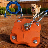 Heavy Duty Dog Tie Out Stake for Outside - Dog Stake + 30ft Cable/200lbs - image 2