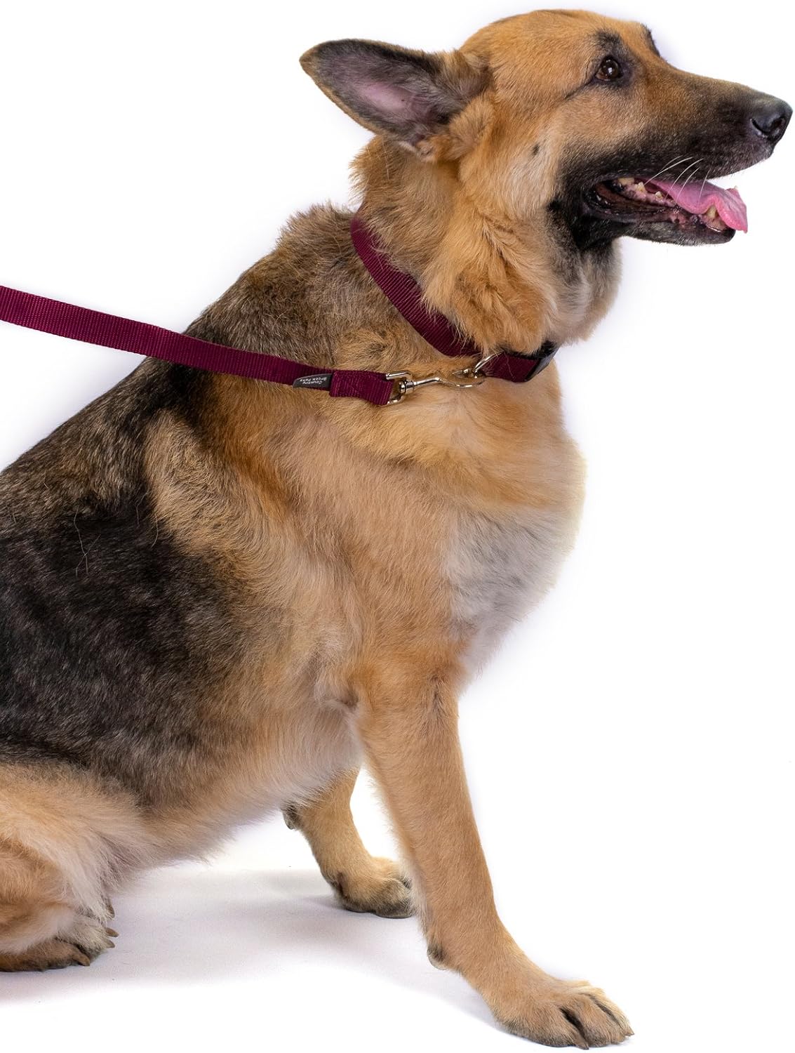 Country Brook Petz, Everyday Nylon Dog Leash - Burgundy / 6 Foot X 1 Inch Wide (Pack of 1) - image 2