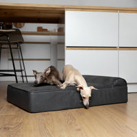 Large Dog Bed Orthopedic Memory Foam Cooling Gel 35x25x8.7 in – Essentials for Dogs - Charcoal - LE / Large - image 3
