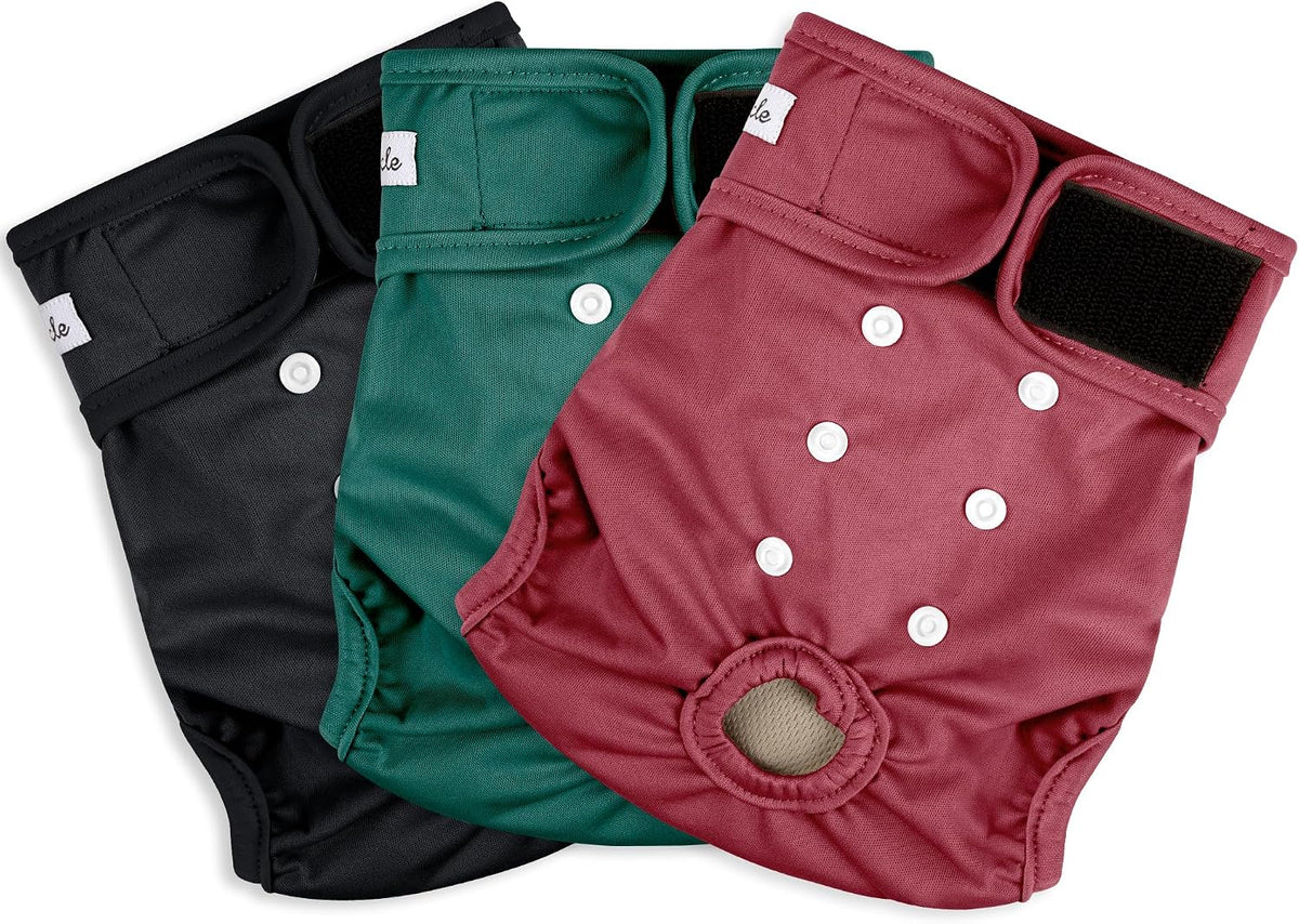 Washable Female Dog Diapers - XX-Large(27.5"-33"Waist) / Red,Green&Black - image 2