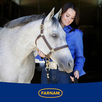 Farnam Endure Sweat-Resistant Fly Spray for Horses, Protects Against Lyme Disease, 15 oz
