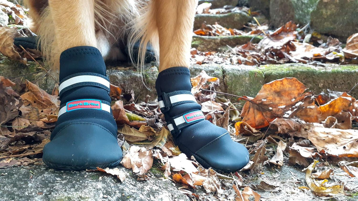 All Weather Neoprene Paw Protector Dog Boots with Reflective Straps - Black / XL