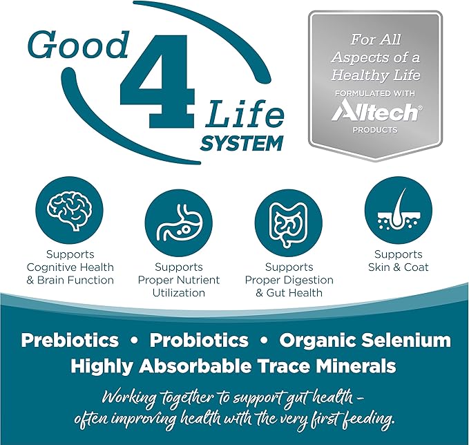 Nutrisource Adult Chicken & Rice Dog Food 5Lb