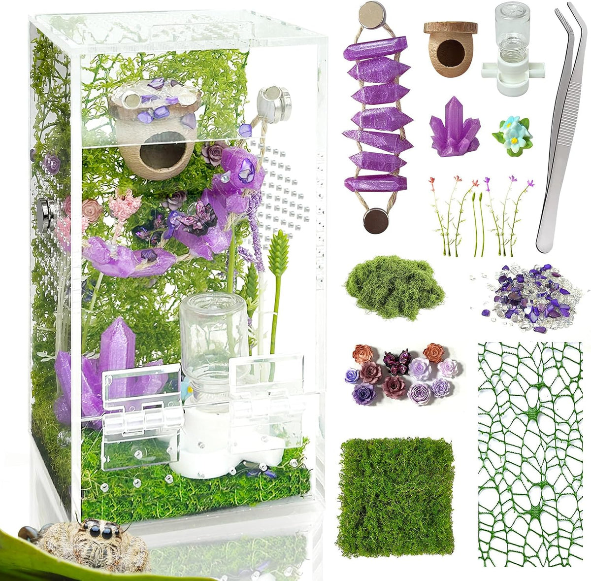 Jumping Spider Enclosure, DIY Insects Habitat - Purple