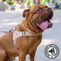 Dog Friendly Co. Dog Harness for Medium Sized Dogs – Essentials for Dogs - Brown / X-Small - image 3