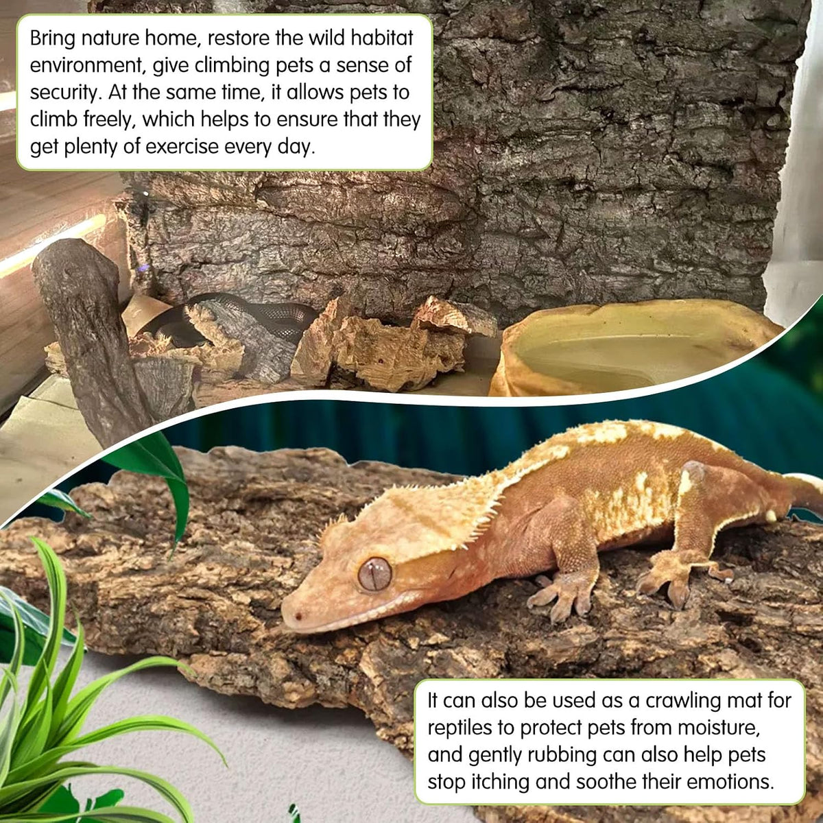 10PCS Cork Tile Background Bark 7.9”Lx7.9”W Reptile Tank Background - 2PCS - 15.7" x 11.8" - image 4