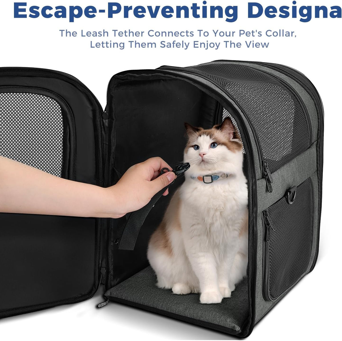 Apollo Walker Cat Backpack Carrier, Support Frame - Gray / Medium-Standard - image 3