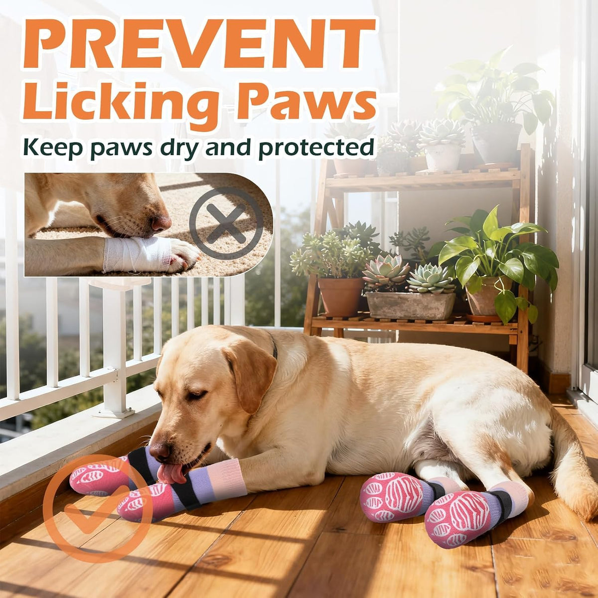 Anti Slip Dog Socks to Prevent Licking Paws with Grippers Black – Essentials for Dogs - Pink Purple / X-Small - image 4