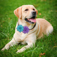 Dog Collar Flowers Attachement Bow Tie Accessories for Pet Grooming - Light - image 3