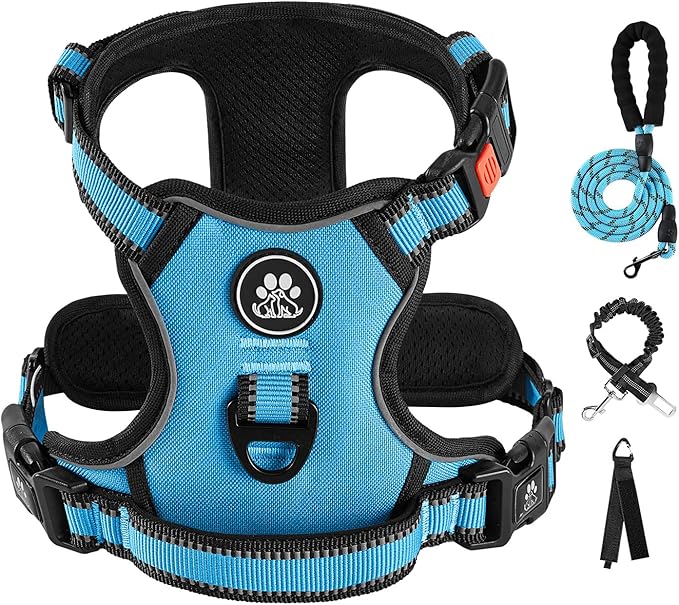 IVY&LANE No Pull Dog Harness for Medium Dogs, Dog Vest Harness with Leash, Safety Belt and Storage Strap, Fully Adjustable, 360 Reflective Strip, Soft Handle (Blue, M)