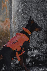 OneTigris Mesh Design Tactical No Pull Dog Harness for Large Dogs, Breathable Service Dog Vest Harness with Handle, Military Dogs Vest with Molle Panels for Walking Hiking (Orange, X-Large)