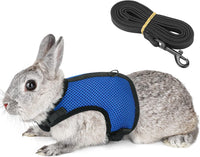 PETTOM Bunny Rabbit Guinea Pig Harness Stretchy Elastic Leash Cute - XL(Chest:12.5-15.7 in) / Blue
