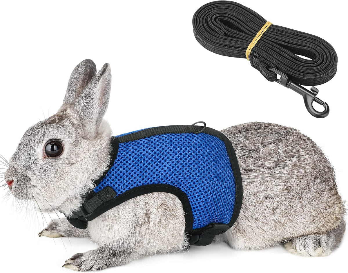 PETTOM Bunny Rabbit Guinea Pig Harness Stretchy Elastic Leash Cute - XL(Chest:12.5-15.7 in) / Blue