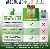 Small Pet Select - Healthy Snackers - Pumpkin