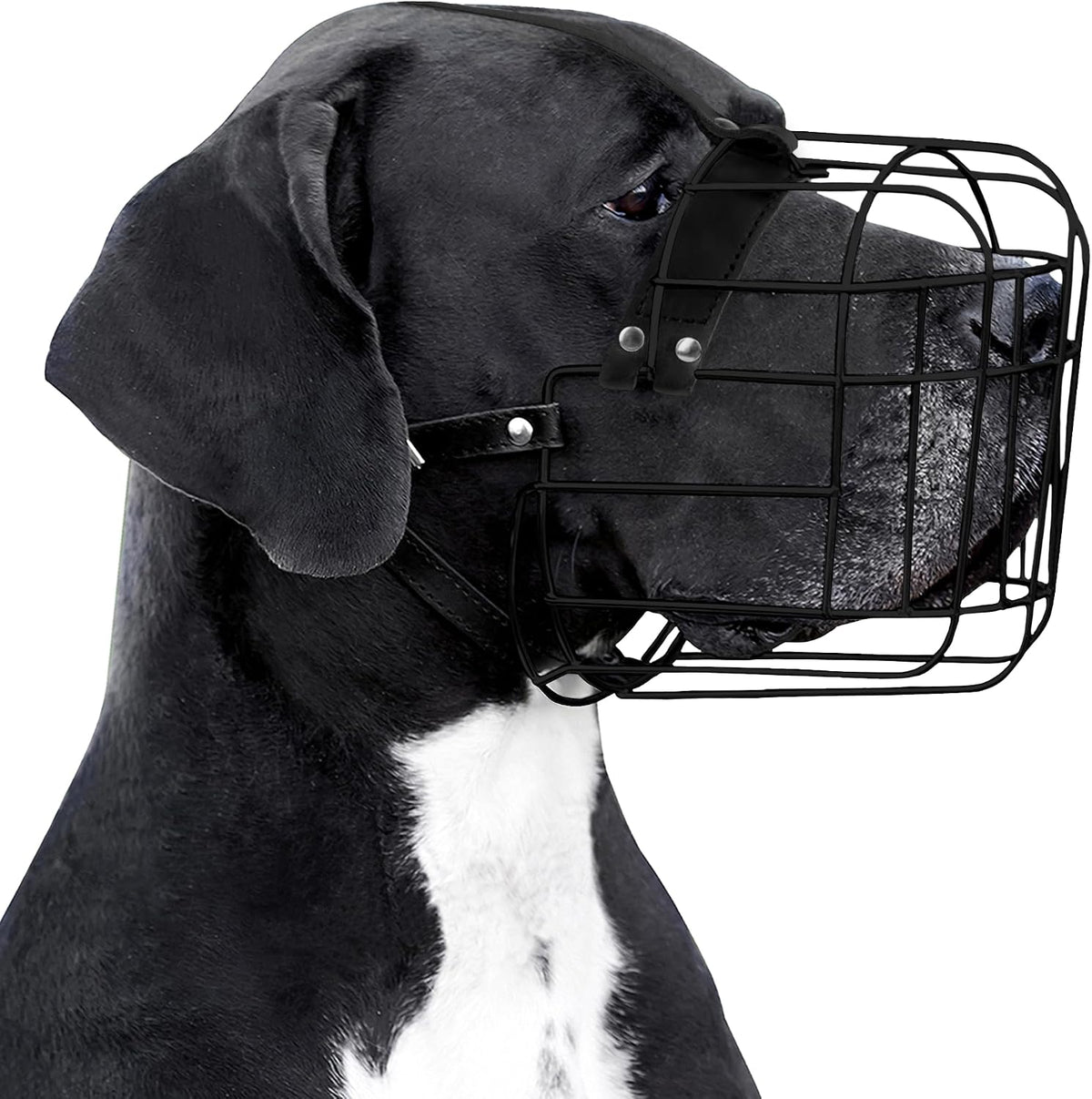 Stainless Steel Wire Basket Dog Muzzle for Husky – Essentials for Dogs - Polyvinyl Chloride (PVC) / Great Dane
