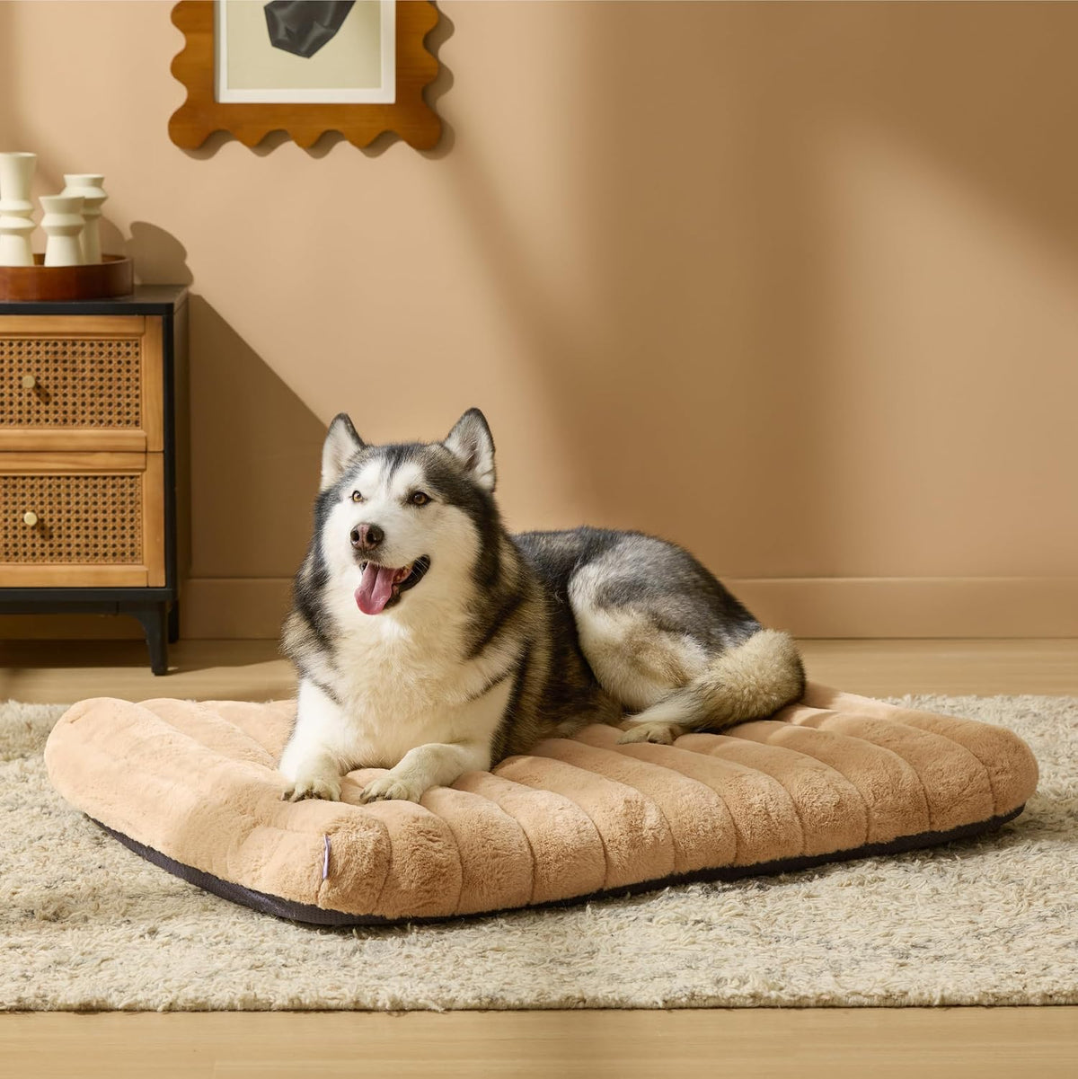 LE SURE Cute Orthopedic Dog Bed Large Sized Dog, Flat Pet Mat - 44"L x 32"W x 4"Th / Beige - image 2