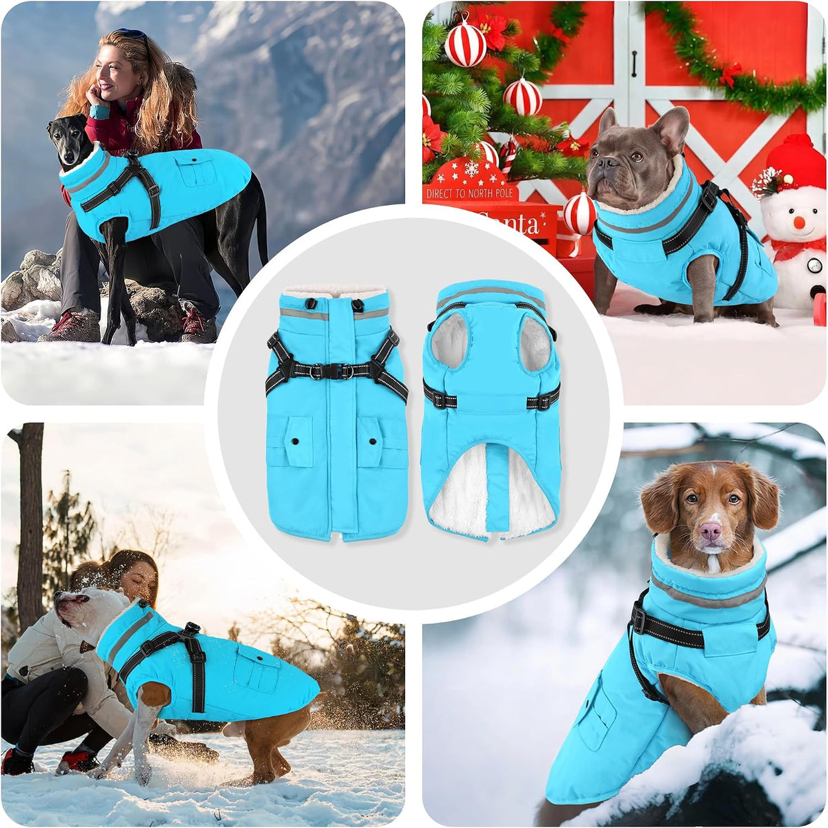 Dogcheer Dog Coat with Harness - Light Blue / XX-Large( Chest:35.4"Back:23.6" Neck:23.6") - image 3