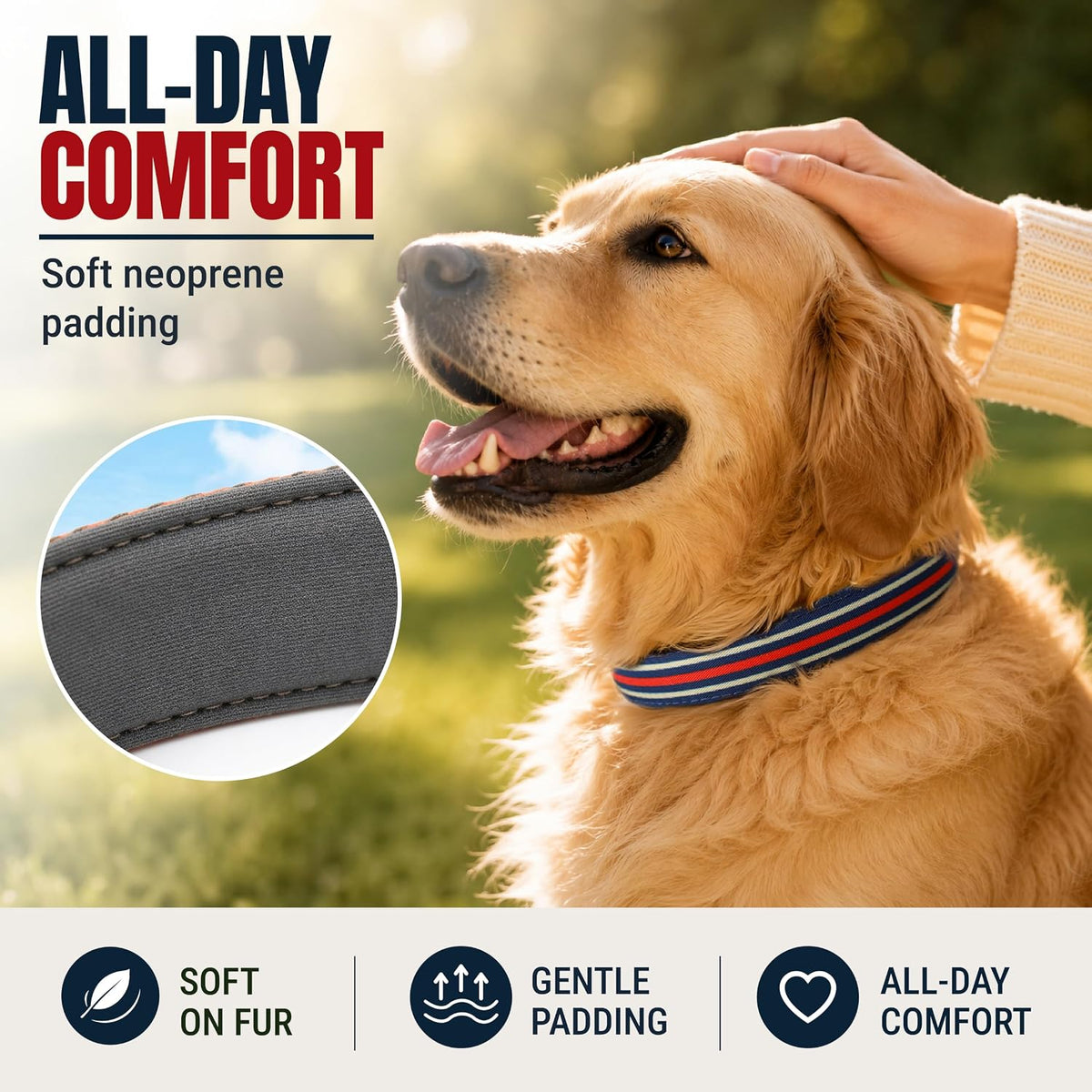 Medium Dog Collar, Neck 12"-20" - Large (Neck 16’’-25’’) / Blue Stripe - image 4