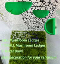 2 Pack Jumping Spider Accessories Mushroom Ledges & 1 Pack Water Bowl - green - image 2