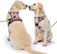 NESTROAD Dog Harness for Medium Sized Dog - Pink / Medium - image 2