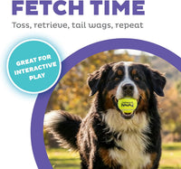 Outward Hound FlyFetch Launch-A-Ball Dog Ball Launcher Toy - Launch A Ball (Medium) - image 2