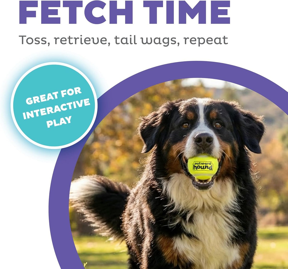 Outward Hound FlyFetch Launch-A-Ball Dog Ball Launcher Toy - Launch A Ball (Medium) - image 2