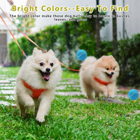 Magicorange 10 Pack Squeaky Mini Tennis Balls - 40 Pack / Multicolor - image 2