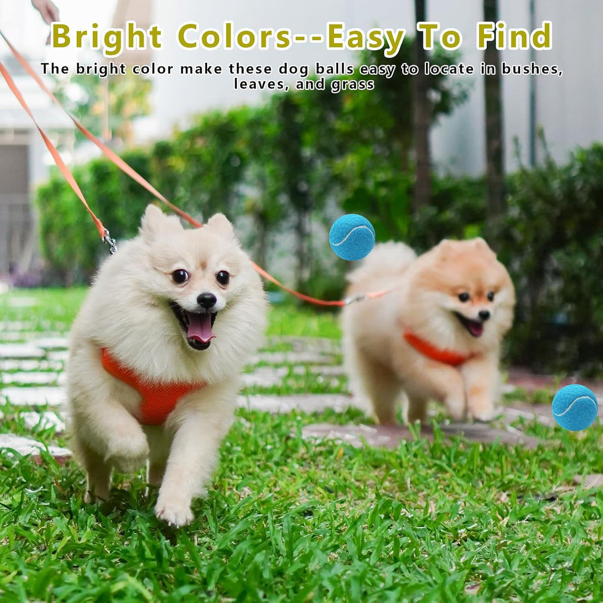 Magicorange 10 Pack Squeaky Mini Tennis Balls - 40 Pack / Multicolor - image 2