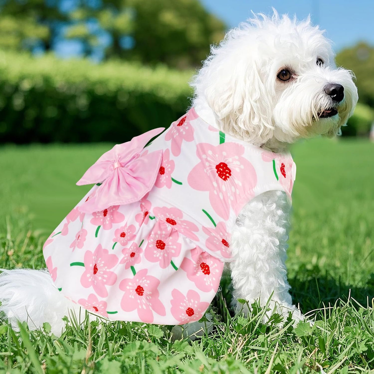 choyaxo Floral Dog Dress Cute Dog Skirt Pet Dress Summer Pet Clothes - Floral / Medium - image 4