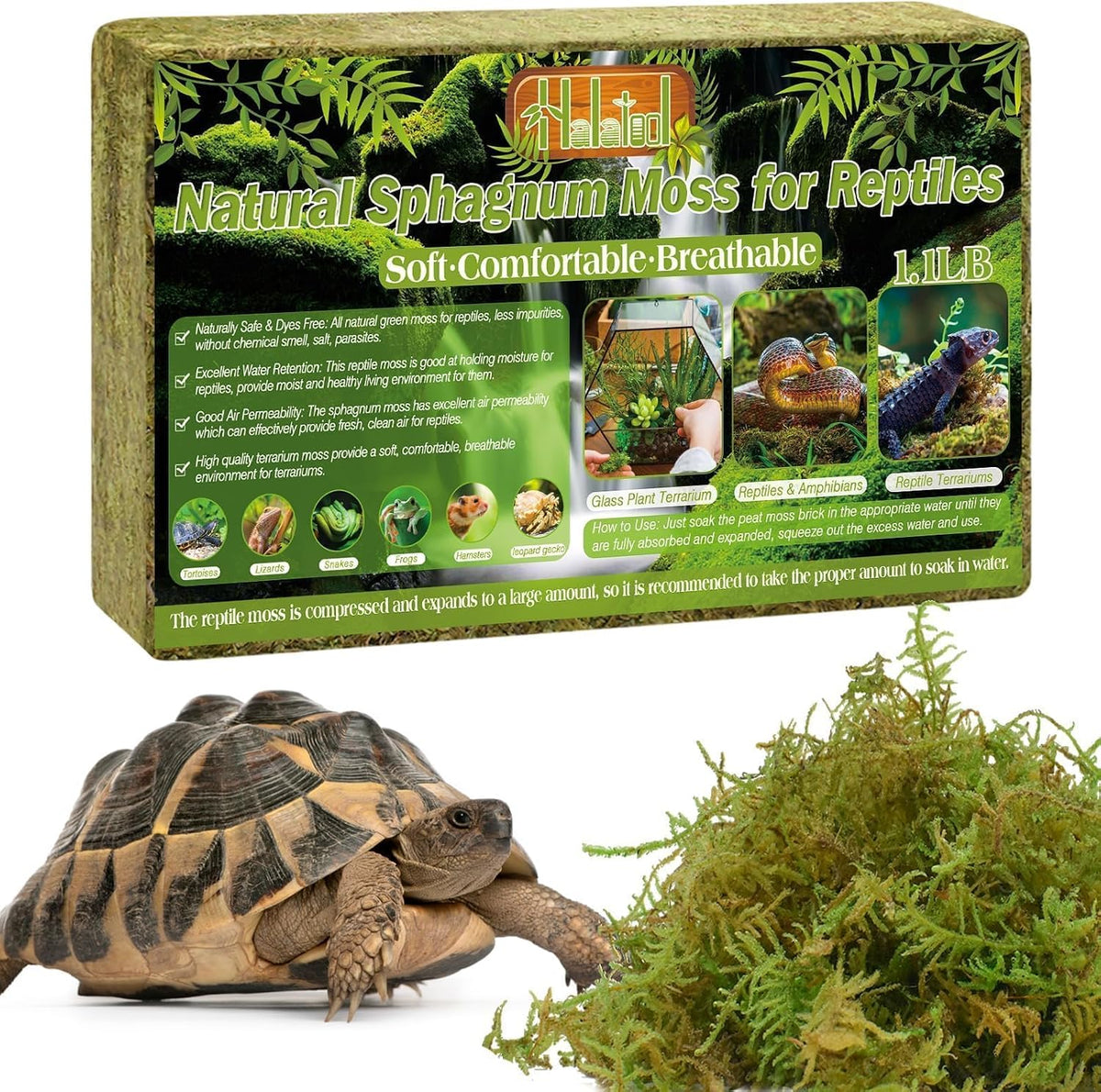9 OZ Sphagnum Moss for Reptiles, Green Terrarium Moss - 1.1LB