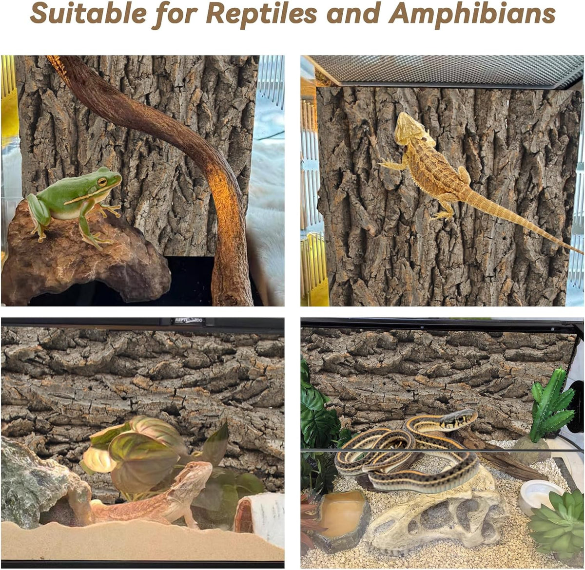 PINVNBY Reptile Terrarium Cork Background - 【Natural Cork Bark 】 / 【1 PCS】 - image 4