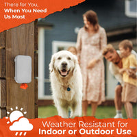 PEXTER Dog Poop Bag Dispenser - Gray - image 2