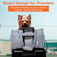 Portable Soft-Sided Pet Carrier for Cats and Small Dogs – Animal Travel Bag with Locking Zippers, Breathable Mesh and Collapsible Design – Lightweight and Secure Cat Dog Travel Crate