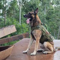 OneTigris Large Tactical Dog Harness No Pull Handle XL Black – Essentials for Dogs - Small / Green - image 3